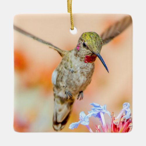 Pretty Hummingbird Flying Over Flowers Name Ceramic Ornament