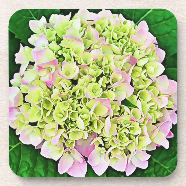 Pretty Hydrangea Flower Art Coaster Set (Front)