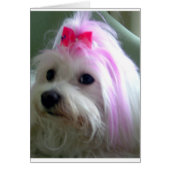 Pretty in Pink (Front)