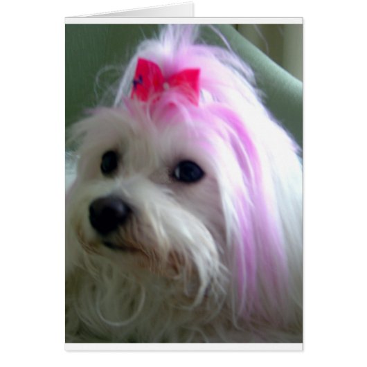 Pretty in Pink (Front)