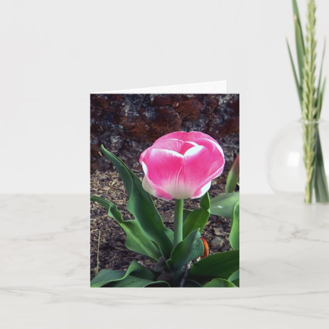 Pretty in Pink..... Card (Front)