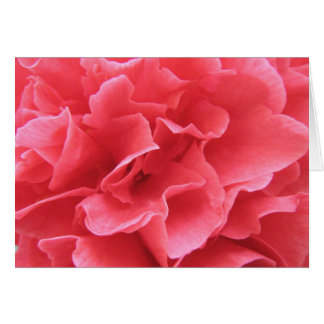 Pretty in Pink Cards