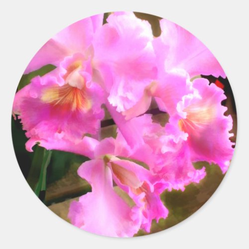 Pretty in Pink Cattleya Orchids Classic Round Sticker