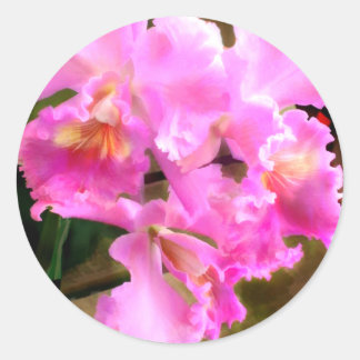Pretty in Pink Cattleya Orchids Classic Round Sticker