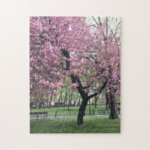 Pretty in Pink Cherry Blossom Tree NYC New York Jigsaw Puzzle