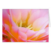 Pretty in pink floral (Front Horizontal)