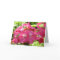 Pretty in Pink Flowers Birthday Wishes