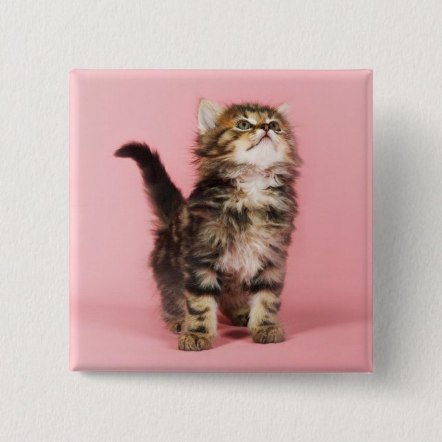 Pretty in Pink Kitten Button (Front)