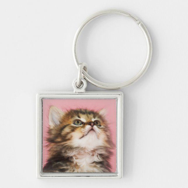 Pretty in Pink Kitten Keychain (Front)