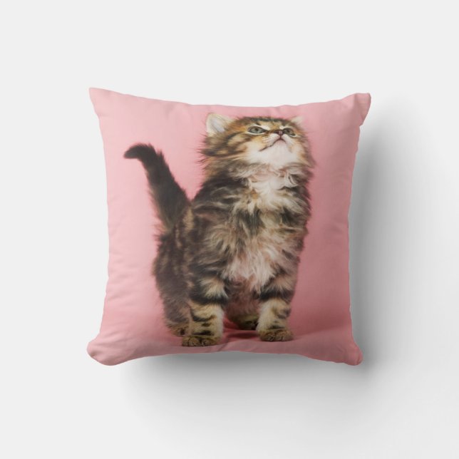 Pretty in Pink Kitten Throw Pillow (Front)