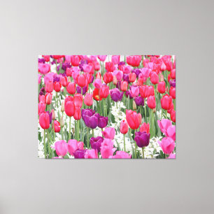 Pretty in Pink Petals Canvas Print