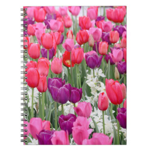 Pretty in Pink Petals Notebook