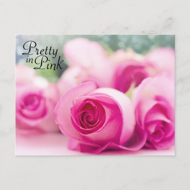 Pretty in Pink Roses Postcard (Front)