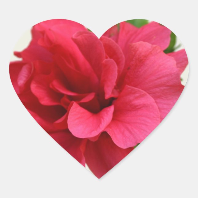 Pretty in Pink - Sticker (Front)