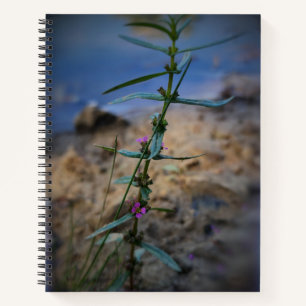 Pretty in Purple College-Ruled Notebook