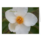 Pretty Is (Front Horizontal)