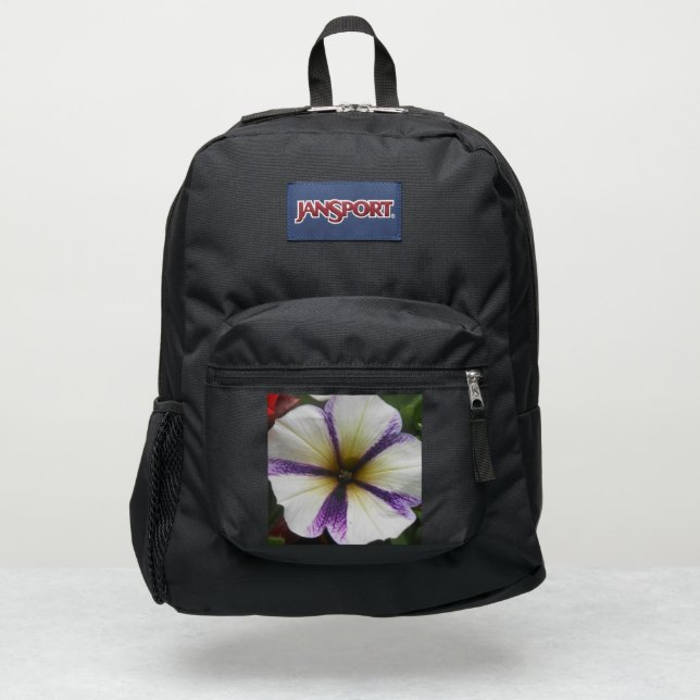 Pretty JanSport Backpack (Front)