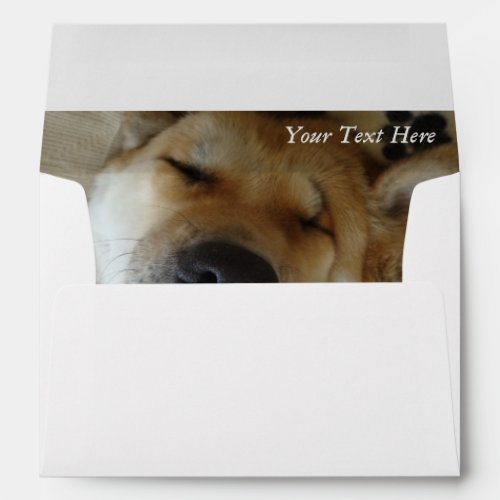 pretty japanese akita funny goofy smiling dog envelope