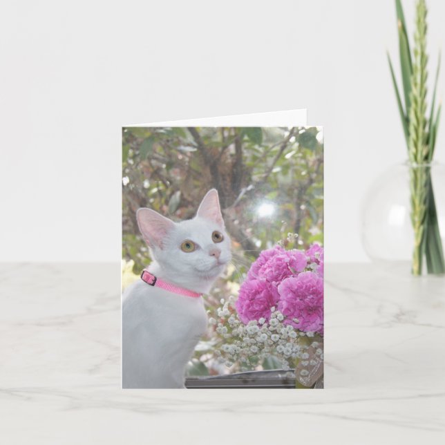 Pretty Kitten Note Card (Front)