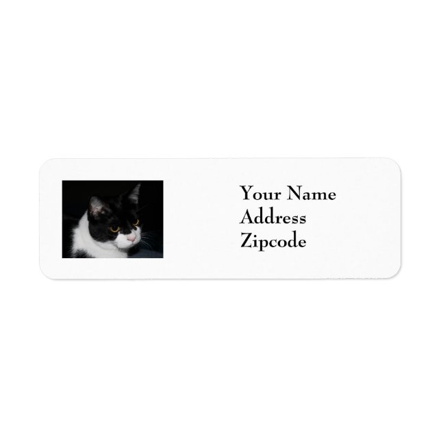 Pretty Kitty Address Label (Front)