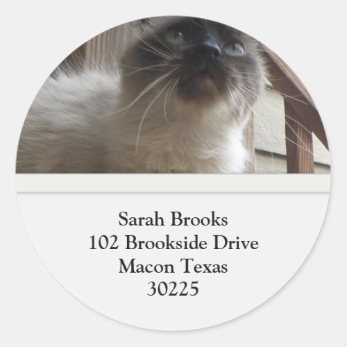 Pretty Kitty Address Labels