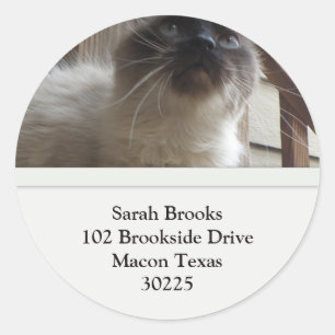 Pretty Kitty Address Labels