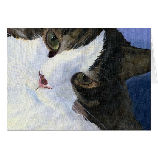 Pretty Kitty Cards (Front Horizontal)