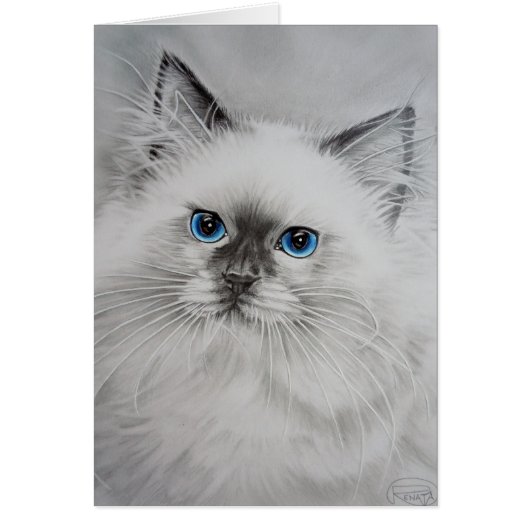 Pretty Kitty Cards (Front)