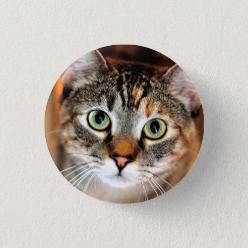 Pretty Kitty Cat Button