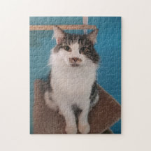 Pretty Kitty Jigsaw Puzzle