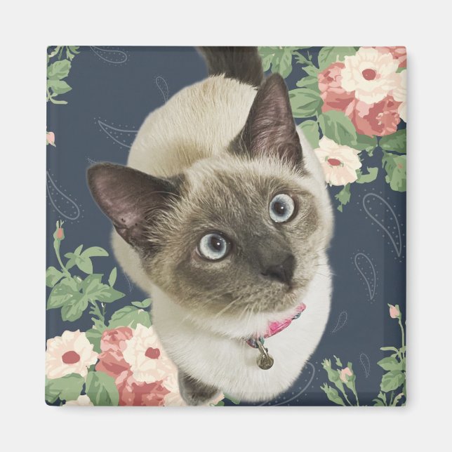Pretty Kitty Magnet (Front)