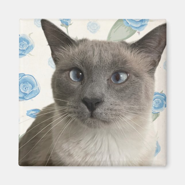 Pretty Kitty Magnet (Front)