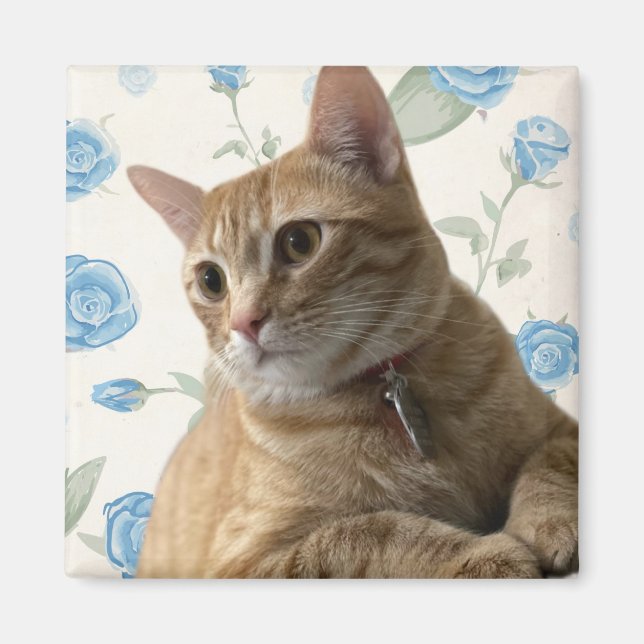 Pretty Kitty Magnet (Front)