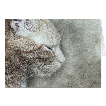 Pretty Kitty Profile | Abstract | Watercolor Card