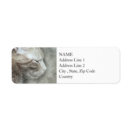 Pretty Kitty Profile | Abstract | Watercolor Label