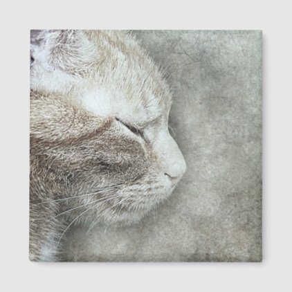 Pretty Kitty Profile | Abstract | Watercolor Magnet