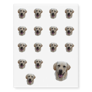 Pretty Lab Face Temporary Tattoos