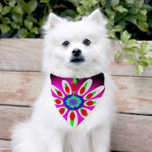 Pretty lady art fashion pet bandana collar