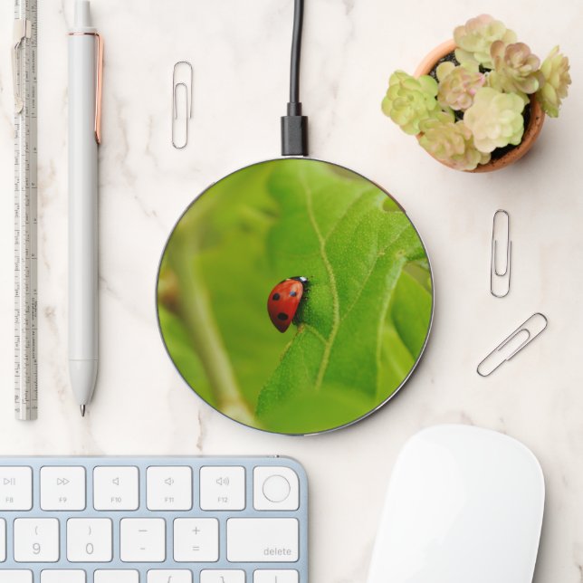 Pretty Ladybug on Leaves Charger (Desk)