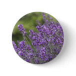 Pretty Lavender Fields Button