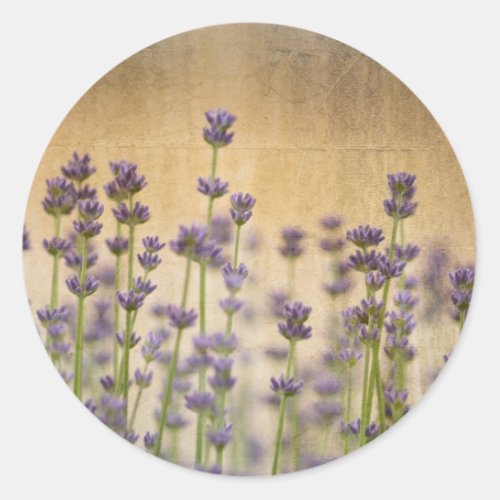 Pretty Lavender Flowers Classic Round Sticker