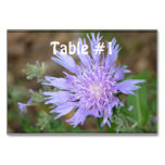 Pretty Lavender Scabiosa Table Number