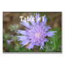 Pretty Lavender Scabiosa Table Number