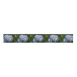 Pretty Light Blue Hydrangea Flowers Grosgrain Ribbon