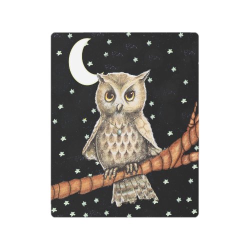 Pretty Light Brown Owl Blue Necklace Stars Moon Metal Print