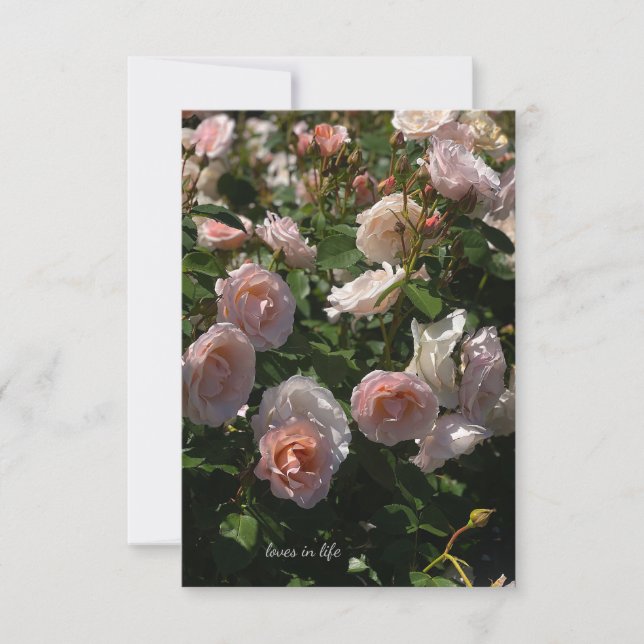 Pretty Light Pink Roses Note Card (Front)