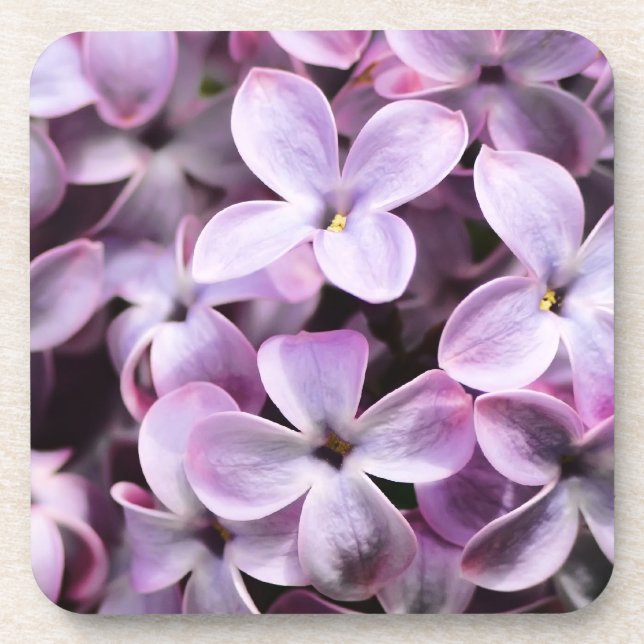Pretty Lilacs Beverage Coaster (Front)