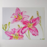 Pretty Lily In Pink Watercolor Painting Postcard Poster<br><div class="desc">Pretty Lily In Pink Watercolor Painting Poster. A very beautiful postcard for anyone you love. Give it for any reason at all. Maybe a thank you,  a Birthday or Just because! Designed written and painted by me from one of my original watercolor paintings.</div>