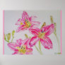 Pretty Lily In Pink Watercolor Painting Poster