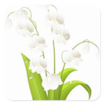 Pretty Lily of the Valley Square Sticker